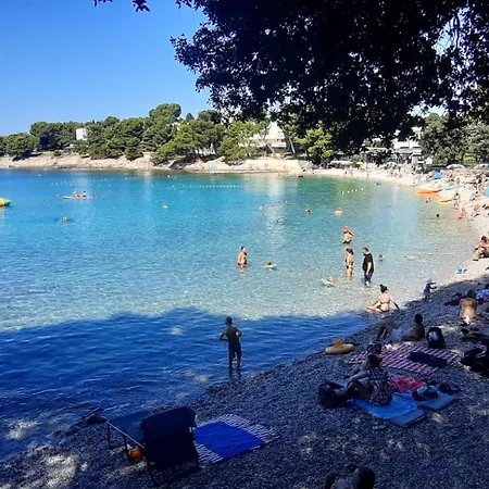 Jan بنجول
